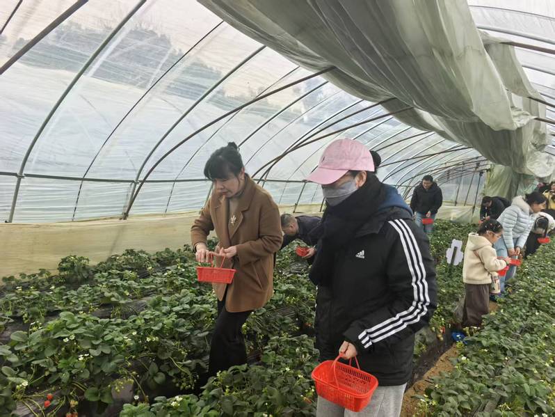 莓香伴暖展师韵 巾帼传薪绽芳华...